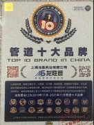 龙胜管荣获CNPP“2020管道十大品牌”殊荣